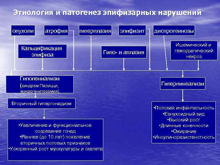 Гипергонадизм у мужчин презентация