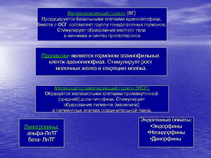 Лютеинизирующий гормон (ЛГ) Продуцируется базальными клетками аденогипофиза. Вместе с ФСГ составляет группу гонадотропных гормонов.