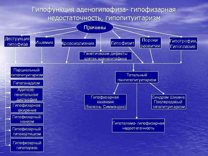 Патология эндокринной системы патофизиология презентация