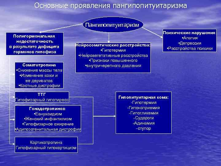 План патофизиология игма