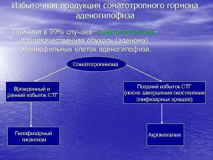 Избыточная продукция соматотропного гормона аденогипофиза Причина в 99% случаев- соматотропиномадоброкачественная опухоль (аденома) эозинофильных клеток