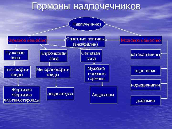 Патофизиология надпочечников презентация