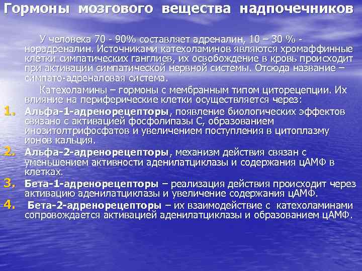 Гормоны мозгового вещества надпочечников презентация