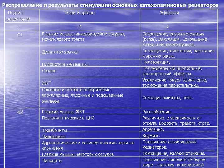 Распределение и результаты стимуляции основных катехоламиновых рецепторов Подтип рецепторов Ткани и органы 1 2
