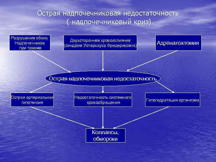 Синдром конна презентация патофизиология