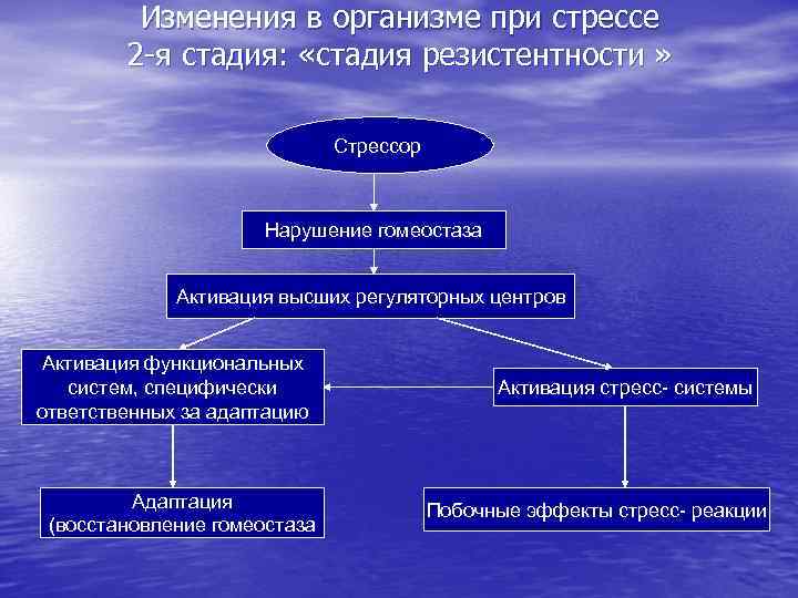 Изменения в организме при стрессе 2 -я стадия: «стадия резистентности » Стрессор Нарушение гомеостаза