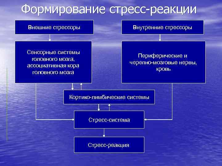 Презентация по патофизиологии