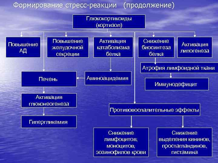 Схема стресс реализующей системы