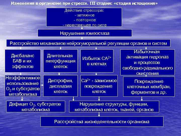 Изменения в организме при стрессе. III стадия: «стадия истощения» Действие стрессора: - затяжное -