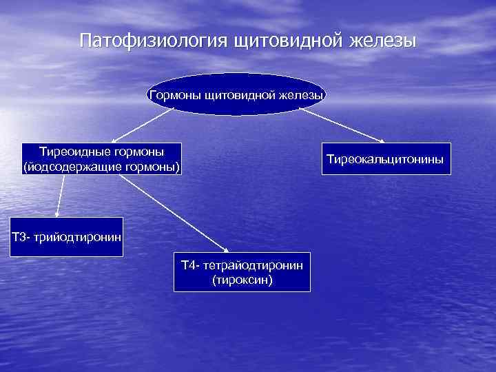 Гипотиреоз патофизиология презентация