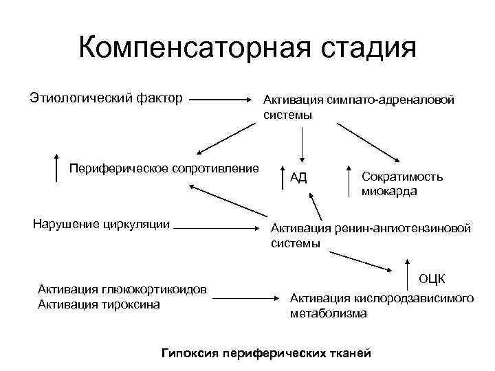 Симпатоадреналовая система схема