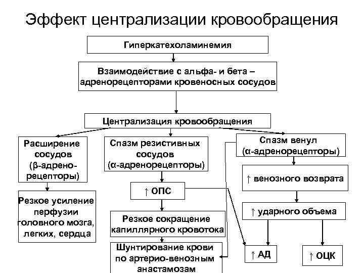 Экстремальные состояния патология презентация