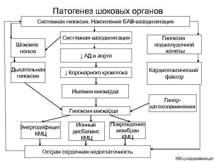 Патогенез шока