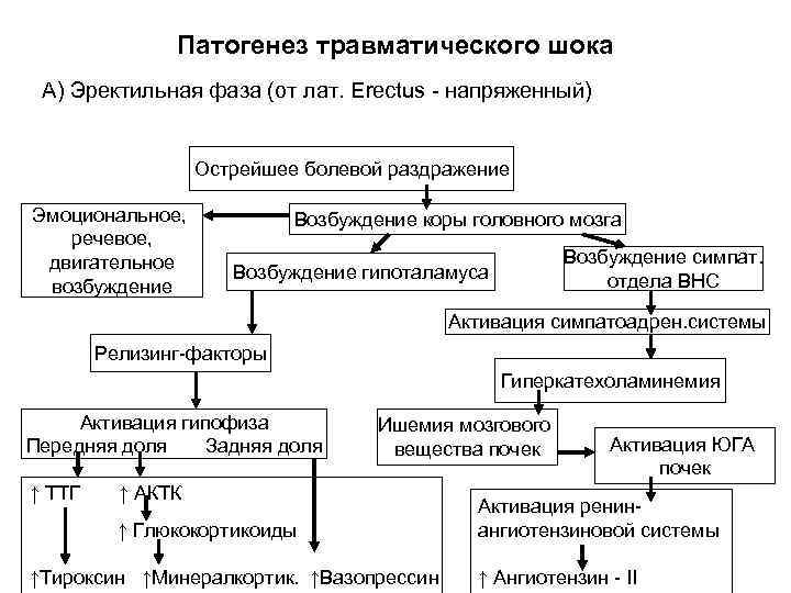 Патогенез шока