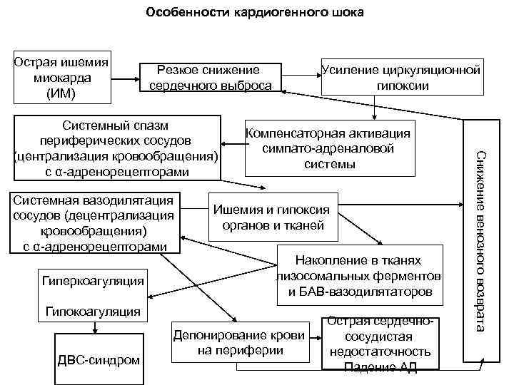 Схема патогенеза кардиогенного шока