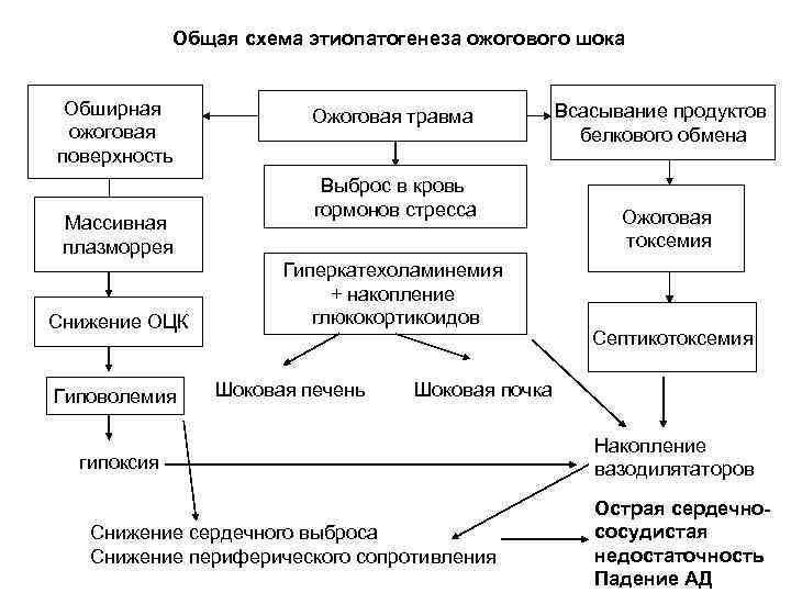 Схема протекания культурного шока