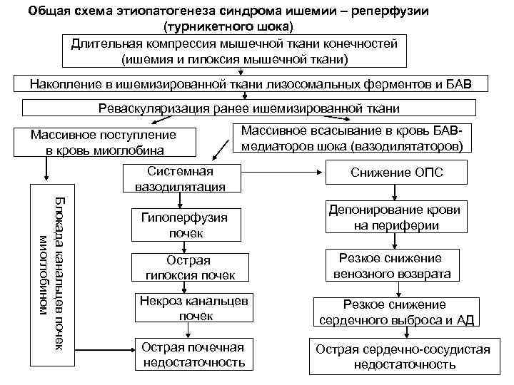 Схема протекания культурного шока