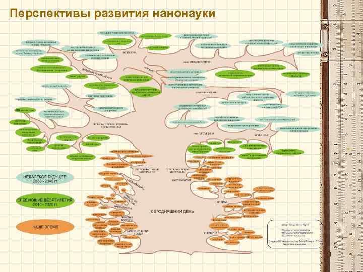 Перспективы развития нанонауки 11 