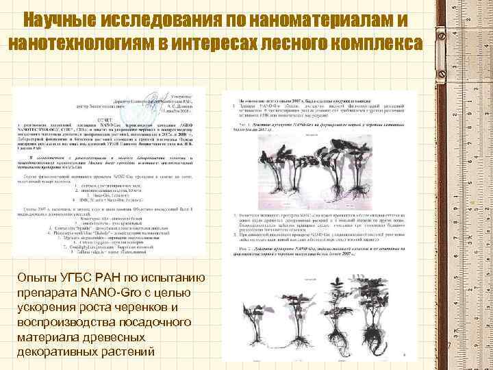 Научные исследования по наноматериалам и нанотехнологиям в интересах лесного комплекса Опыты УГБС РАН по