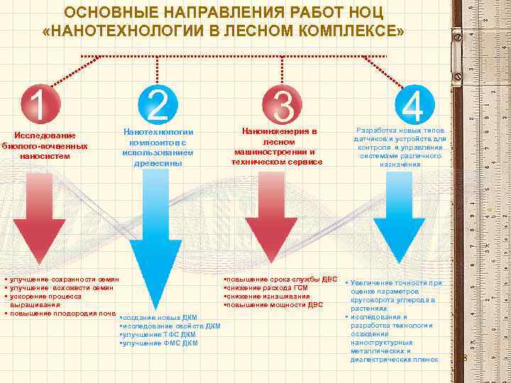 ОСНОВНЫЕ НАПРАВЛЕНИЯ РАБОТ НОЦ «НАНОТЕХНОЛОГИИ В ЛЕСНОМ КОМПЛЕКСЕ» 1 Исследование биолого-почвенных наносистем • улучшение