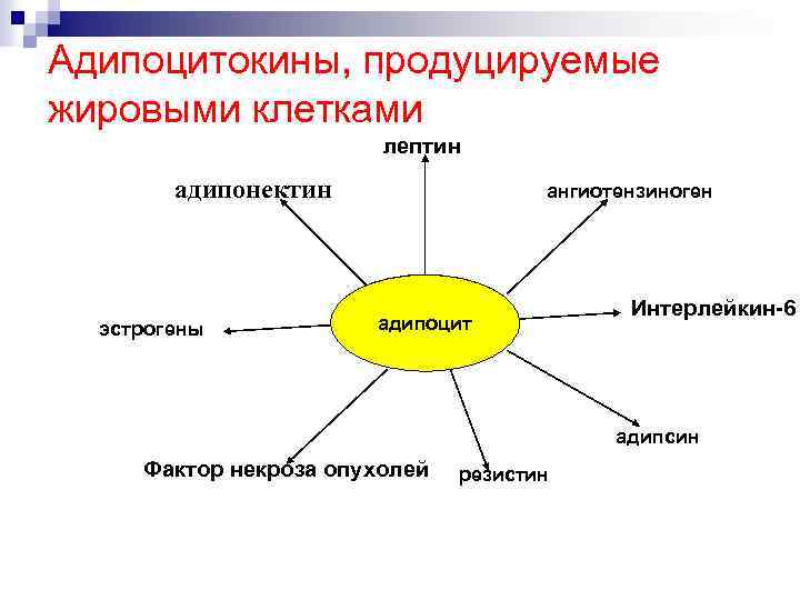 Адипоцитокины, продуцируемые жировыми клетками лептин адипонектин эстрогены ангиотензиноген адипоцит Интерлейкин-6 адипсин Фактор некроза опухолей