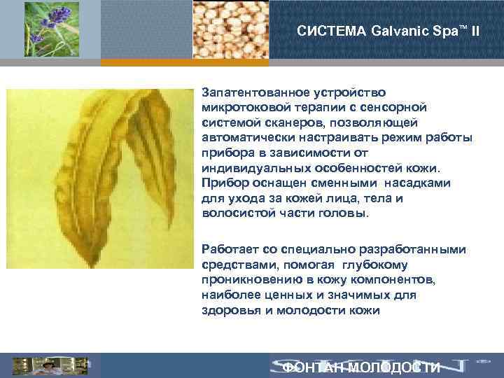 СИСТЕМА Galvanic Spa™ II Запатентованное устройство микротоковой терапии с сенсорной системой сканеров, позволяющей автоматически