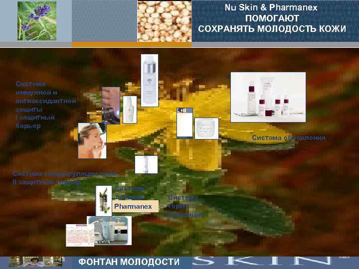 Nu Skin & Pharmanex ПОМОГАЮТ СОХРАНЯТЬ МОЛОДОСТЬ КОЖИ Система иммунной и антиоксидантной защиты I