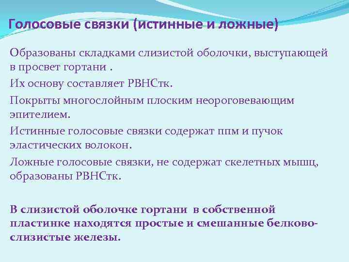 Голосовые связки (истинные и ложные) Образованы складками слизистой оболочки, выступающей в просвет гортани. Их