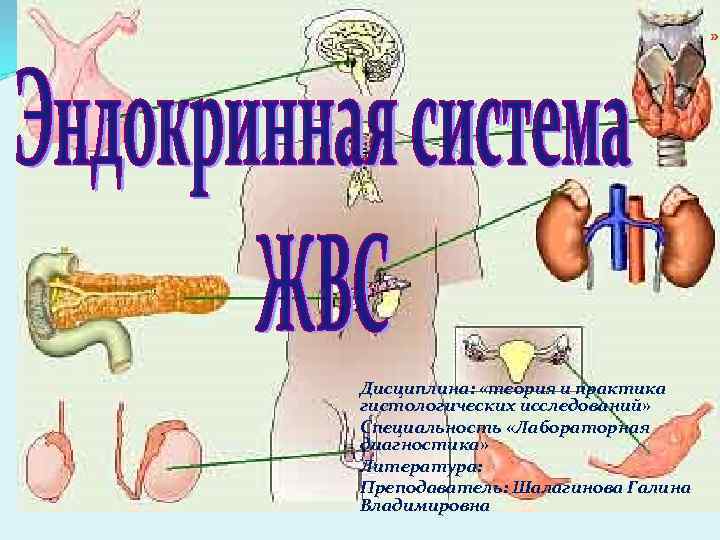 » Дисциплина: «теория и практика гистологических исследований» Специальность «Лабораторная диагностика» Литература: Преподаватель: Шалагинова Галина