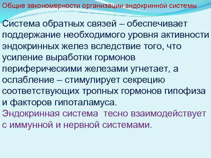 Общие закономерности организации эндокринной системы Система обратных связей – обеспечивает поддержание необходимого уровня активности