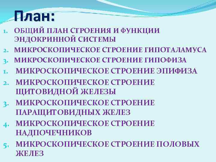 План: 1. ОБЩИЙ ПЛАН СТРОЕНИЯ И ФУНКЦИИ ЭНДОКРИННОЙ СИСТЕМЫ 2. МИКРОСКОПИЧЕСКОЕ СТРОЕНИЕ ГИПОТАЛАМУСА 3.