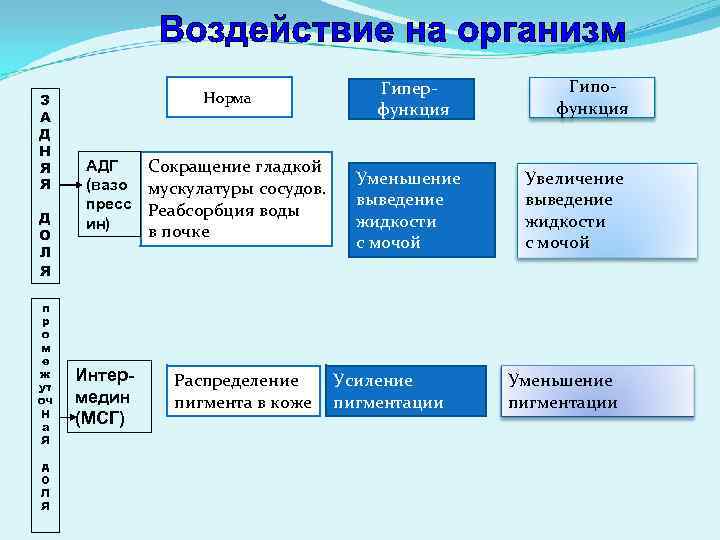 З А Д Н Я Я Д О Л Я п р о м