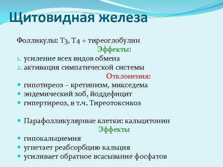 Щитовидная железа Фолликулы: Т 3, Т 4 + тиреоглобулин Эффекты: 1. усиление всех видов