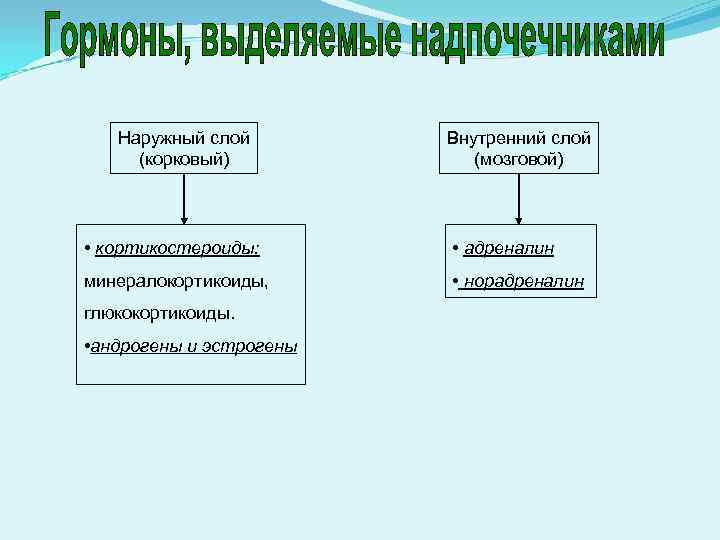 Наружный слой (корковый) Внутренний слой (мозговой) • кортикостероиды: • адреналин минералокортикоиды, • норадреналин глюкокортикоиды.