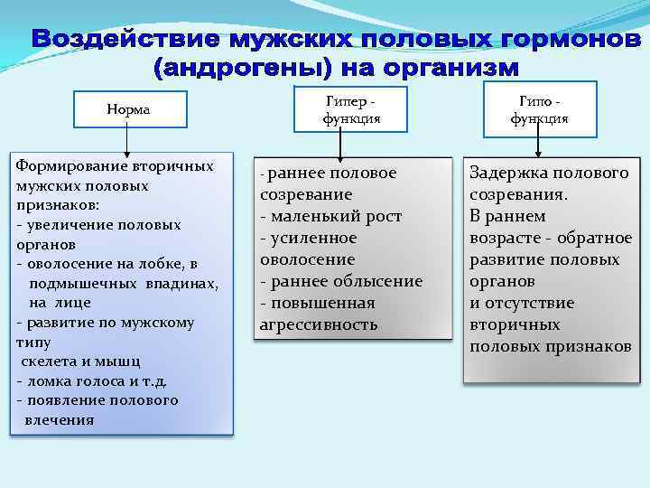 Норма Формирование вторичных мужских половых признаков: - увеличение половых органов - оволосение на лобке,
