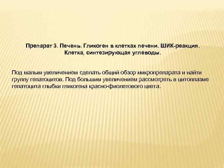Препарат 3. Печень. Гликоген в клетках печени. ШИК-реакция. Клетка, синтезирующая углеводы. Под малым увеличением