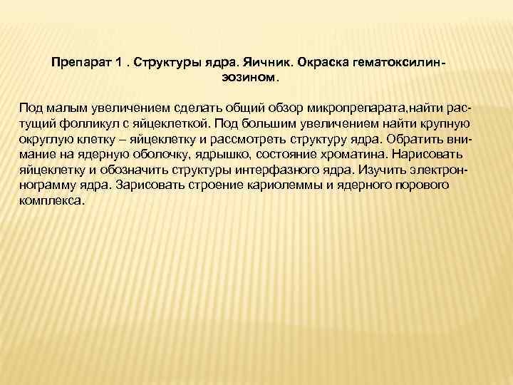 Препарат 1. Структуры ядра. Яичник. Окраска гематоксилинэозином. Под малым увеличением сделать общий обзор микропрепарата,