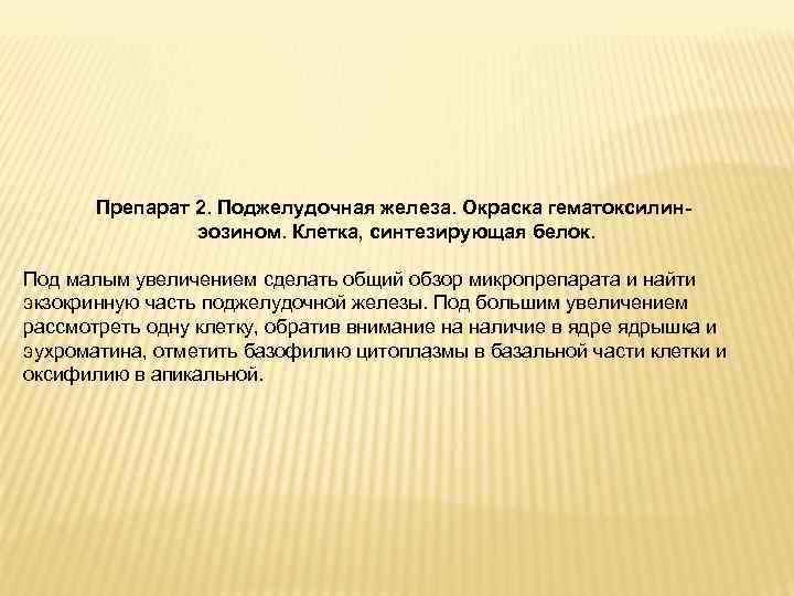 Препарат 2. Поджелудочная железа. Окраска гематоксилинэозином. Клетка, синтезирующая белок. Под малым увеличением сделать общий