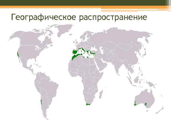 География распространения