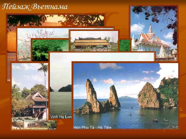 Пейзаж Вьетнама 