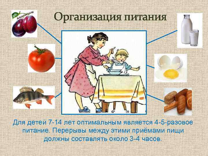 Организация питания Для детей 7 -14 лет оптимальным является 4 -5 -разовое питание. Перерывы