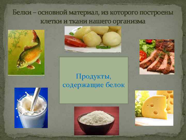 Белки – основной материал, из которого построены клетки и ткани нашего организма Продукты, содержащие