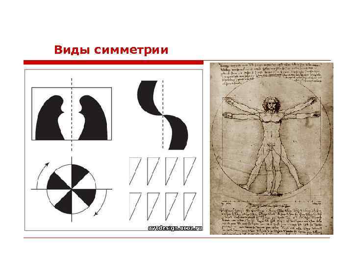 Виды симметрии 