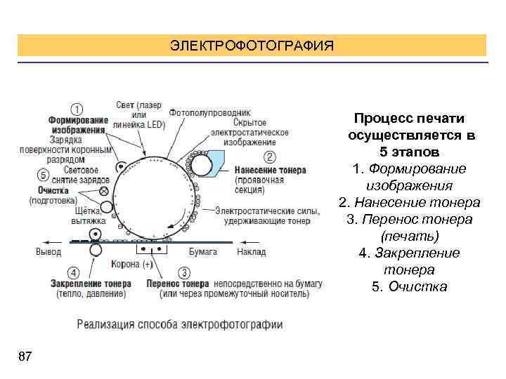 Какой способ закрепления изображения используется в электрофотографическом печатающем устройстве