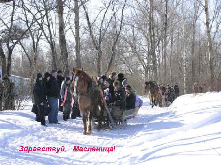 Здравствуй, Масленица! Масленица 