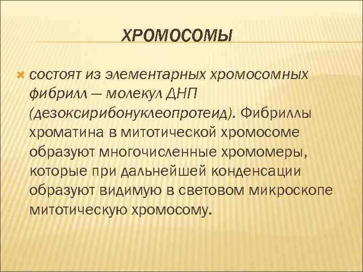 ХРОМОСОМЫ состоят из элементарных хромосомных фибрилл ― молекул ДНП (дезоксирибонуклеопротеид). Фибриллы хроматина в митотической