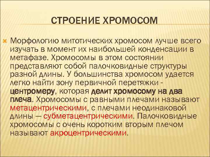 СТРОЕНИЕ ХРОМОСОМ Морфологию митотических хромосом лучше всего изучать в момент их наибольшей конденсации в