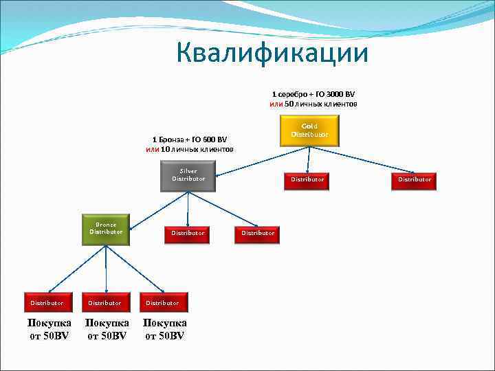 Квалификации 1 серебро + ГО 3000 BV или 50 личных клиентов Gold Distributor 1