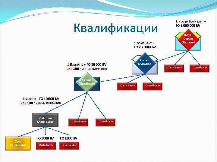 Квалификации 1 брильянт + ГО 250 000 BV Platinum Distributor Gold Distributor ГО 1000