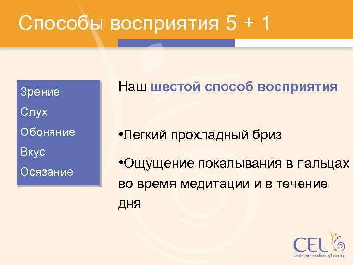 Способы восприятия 5 + 1 Зрение Наш шестой способ восприятия Слух Обоняние Вкус Осязание